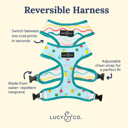 The Cutie Fruity Reversible Harness