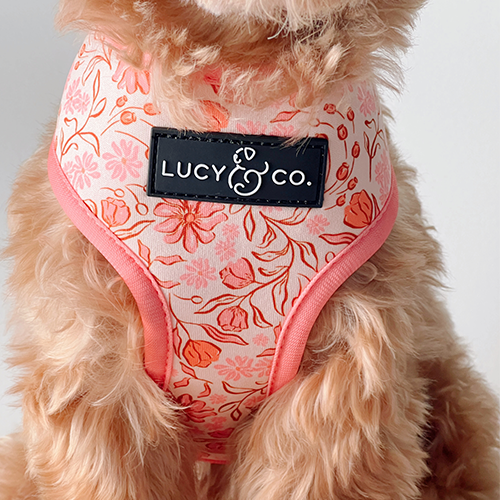 Woodland Wildflowers Reversible Harness