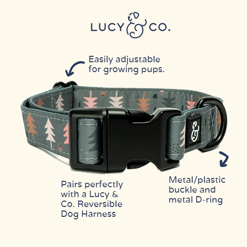 Take a Hike Collar