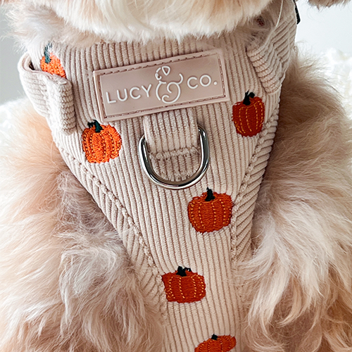 Oh My Gourd No-Pull Harness