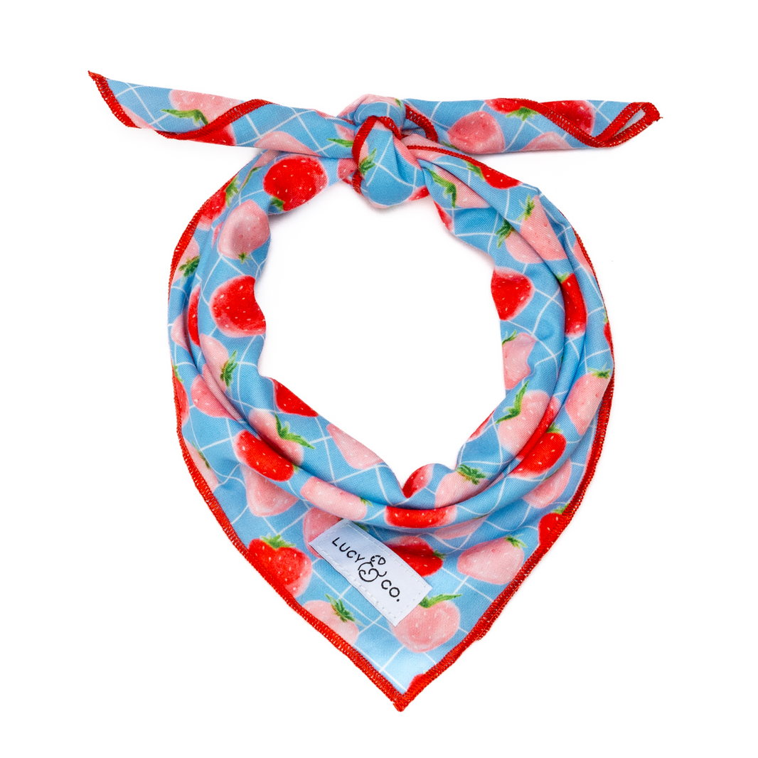 Shop Cute Dog Bandanas | Lucy &amp; Co.