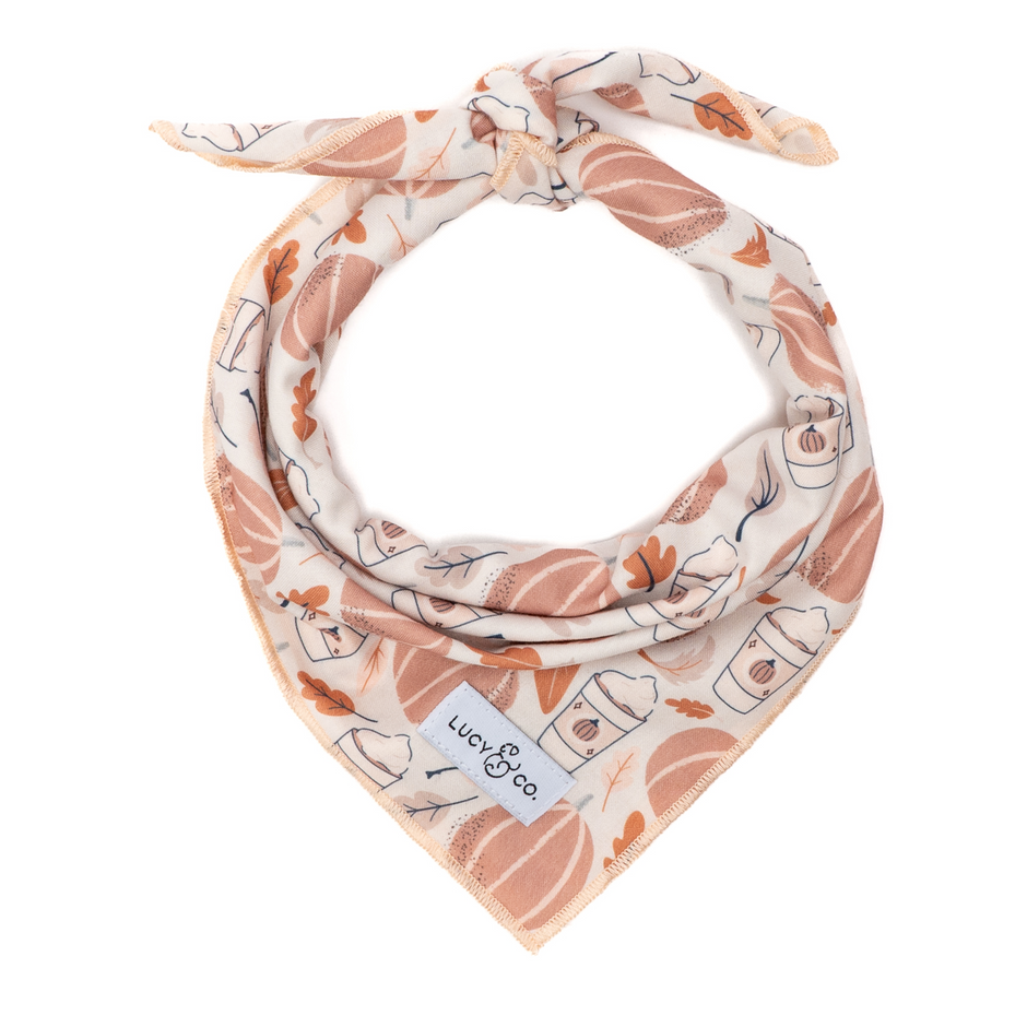 Shop Cute Dog Bandanas | Lucy &amp; Co.