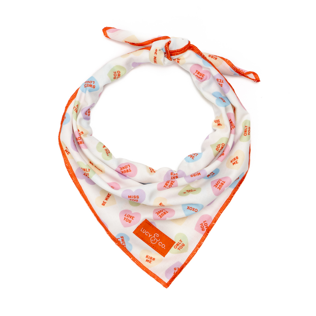 Shop Cute Dog Bandanas | Lucy &amp; Co.