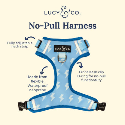 Bolt of Energy No-Pull Harness