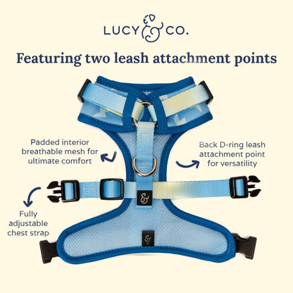 Bolt of Energy No-Pull Harness