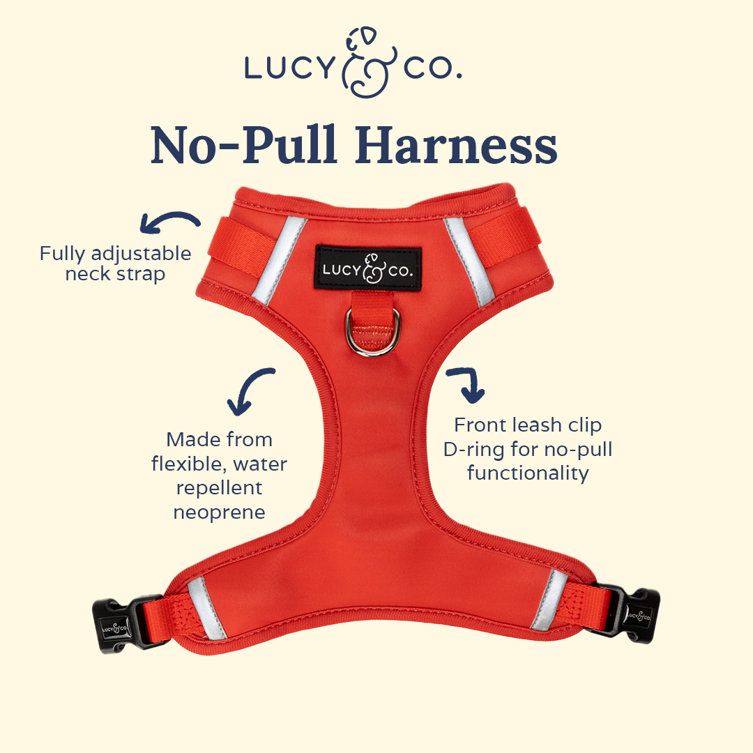 The Cheery Red No-Pull Harness