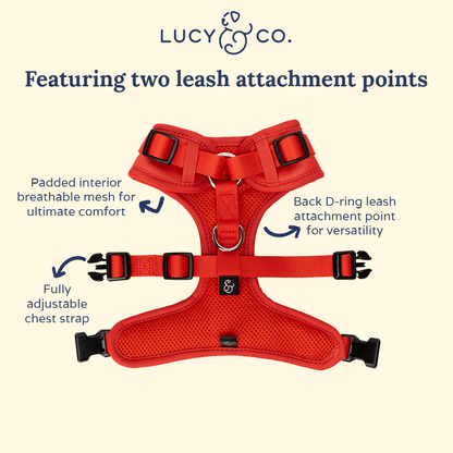 The Cheery Red No-Pull Harness
