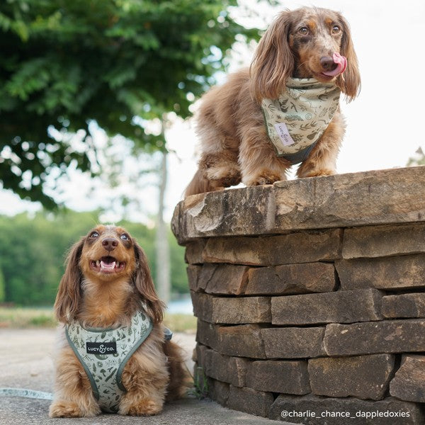 Camp Out Reversible Harness