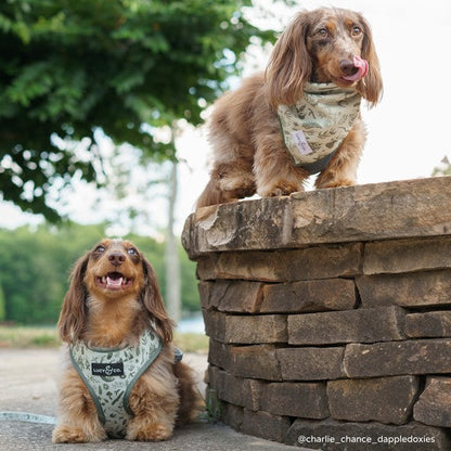 Camp Out Reversible Harness