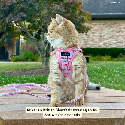 Take a Bow Step-in Cat Harness