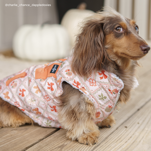 Cozy Cottage Reversible Teddy Vest