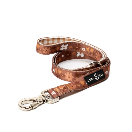 Chocolate Meadows Leash