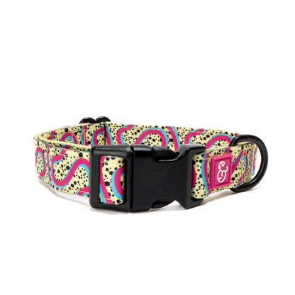The Rolling Around Malibu Collar