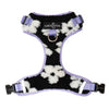 Far Out No-Pull Harness