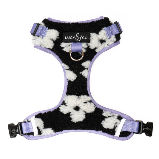 Far Out No-Pull Harness