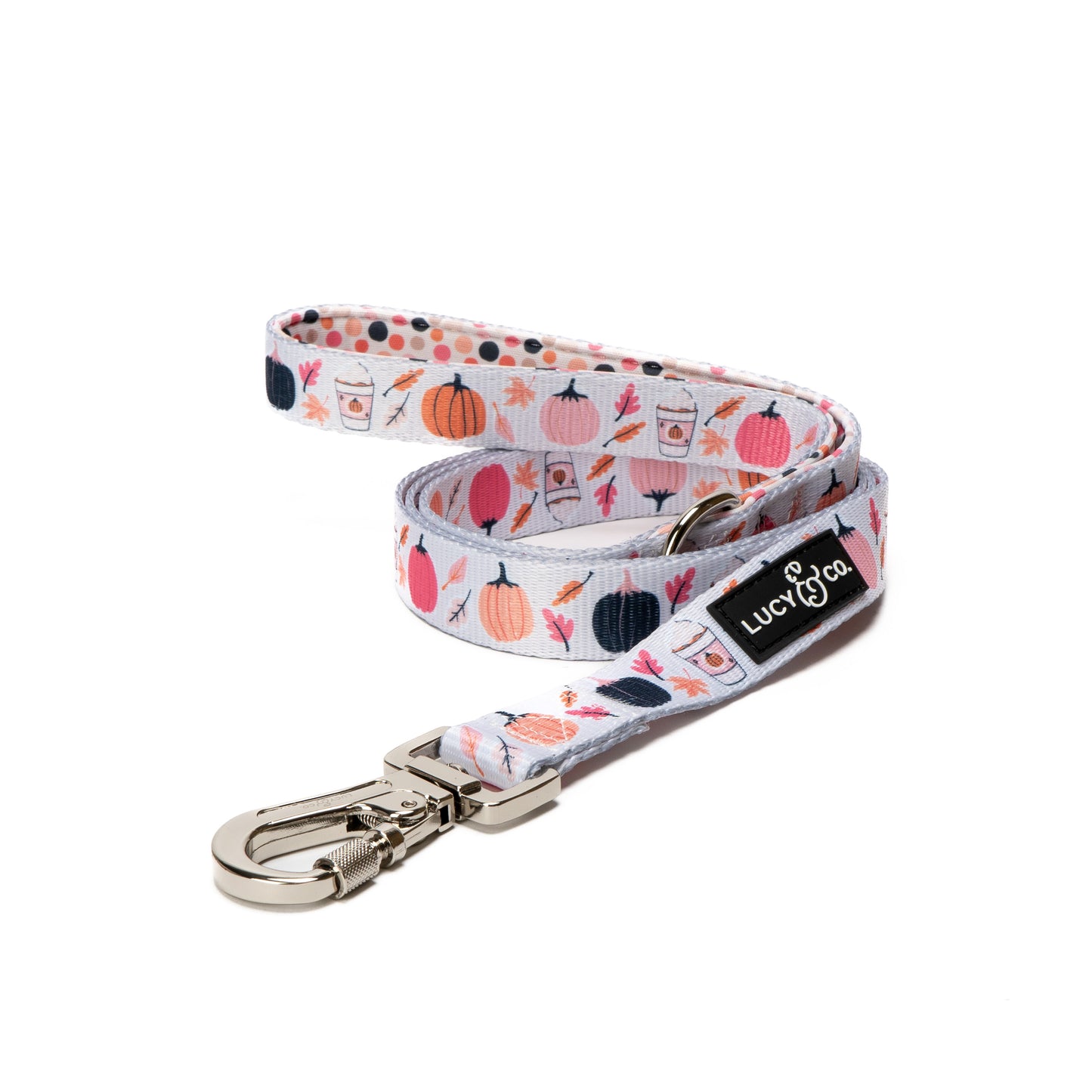 The Falling for You Leash