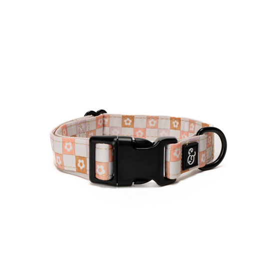 The Daisy Delight Collar