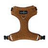 Cinnamon Teddy No-Pull Harness
