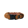 Cinnamon Teddy Collar