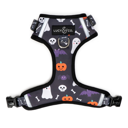 The Midnight Fright No-Pull Harness