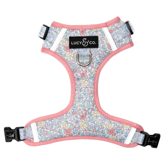 Ditsy Daydream No-Pull Harness