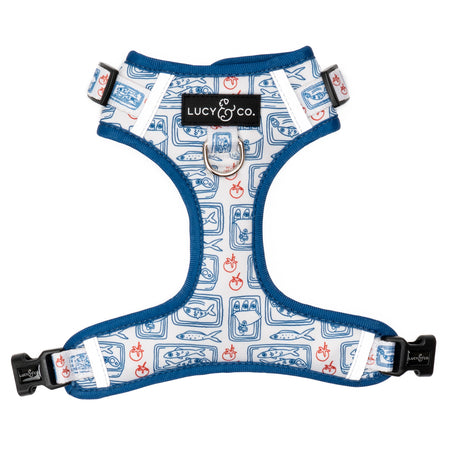 The Tinned Fish No-Pull Harness | Lucy & Co.