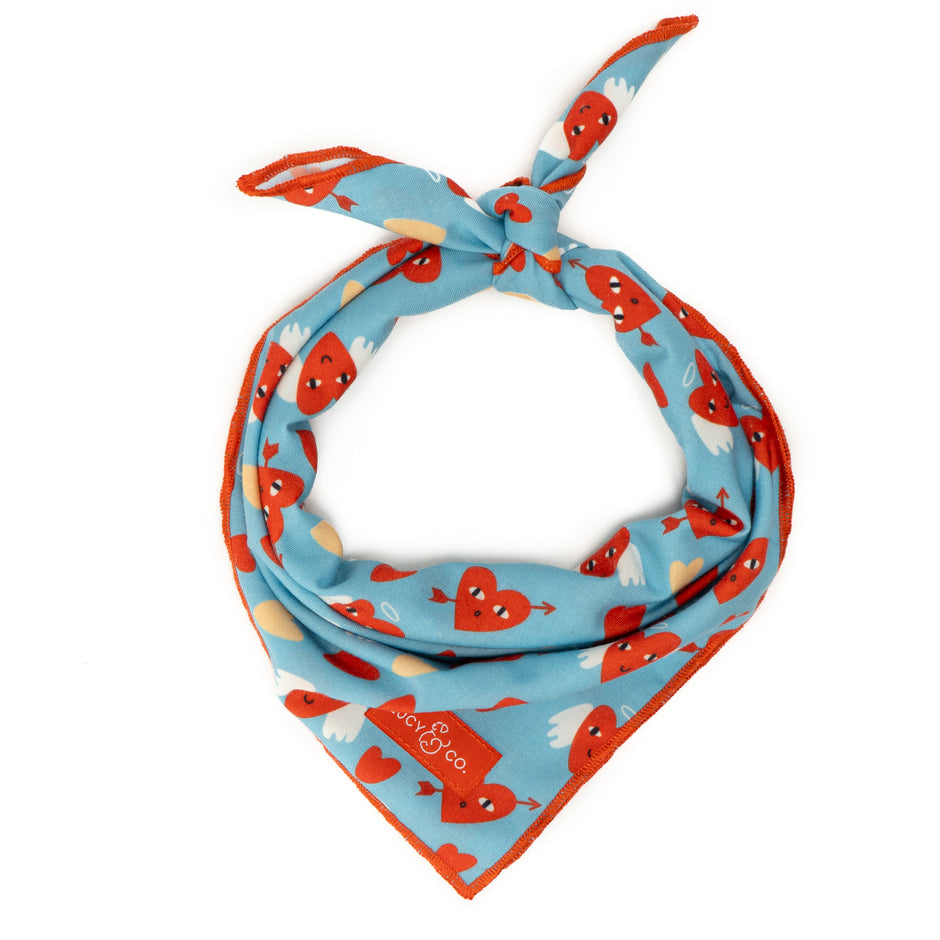 Shop Cute Dog Bandanas Lucy & Co.