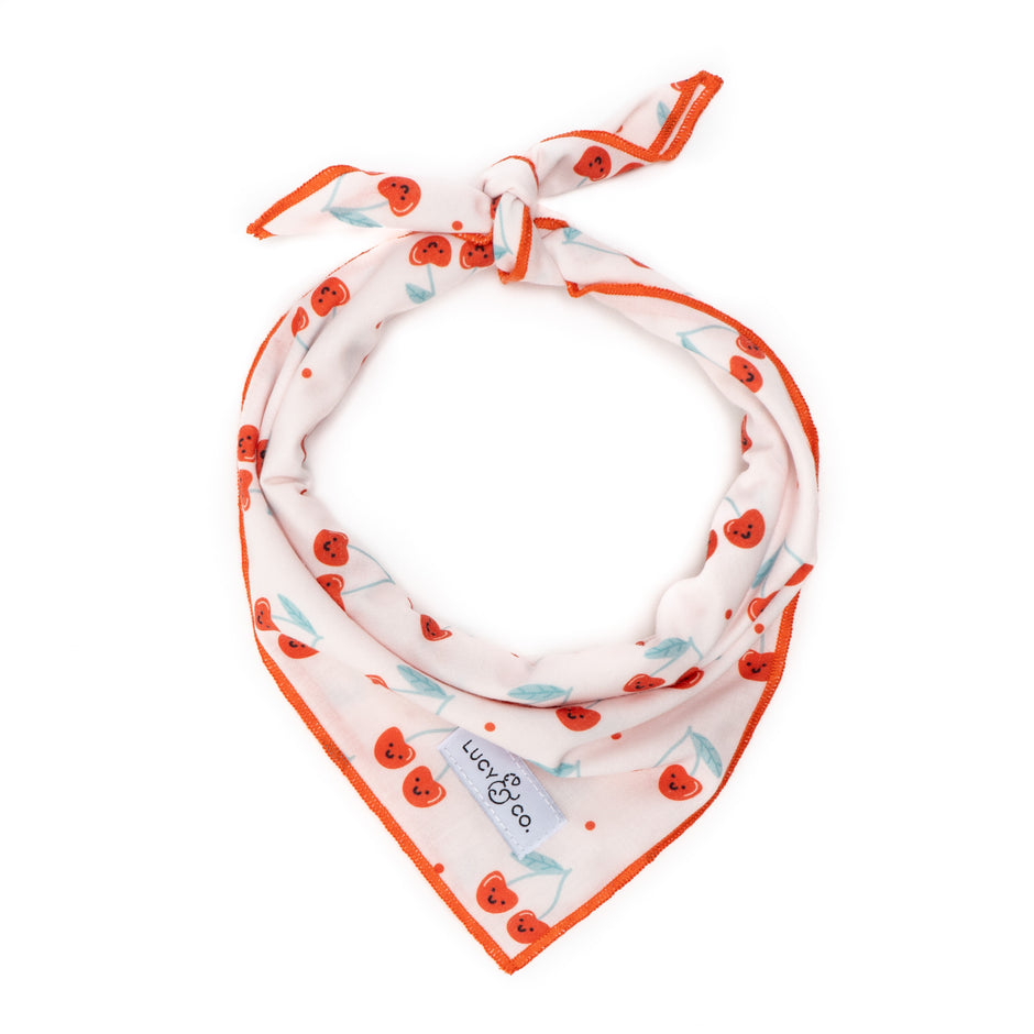 Shop Cute Dog Bandanas | Lucy &amp; Co.