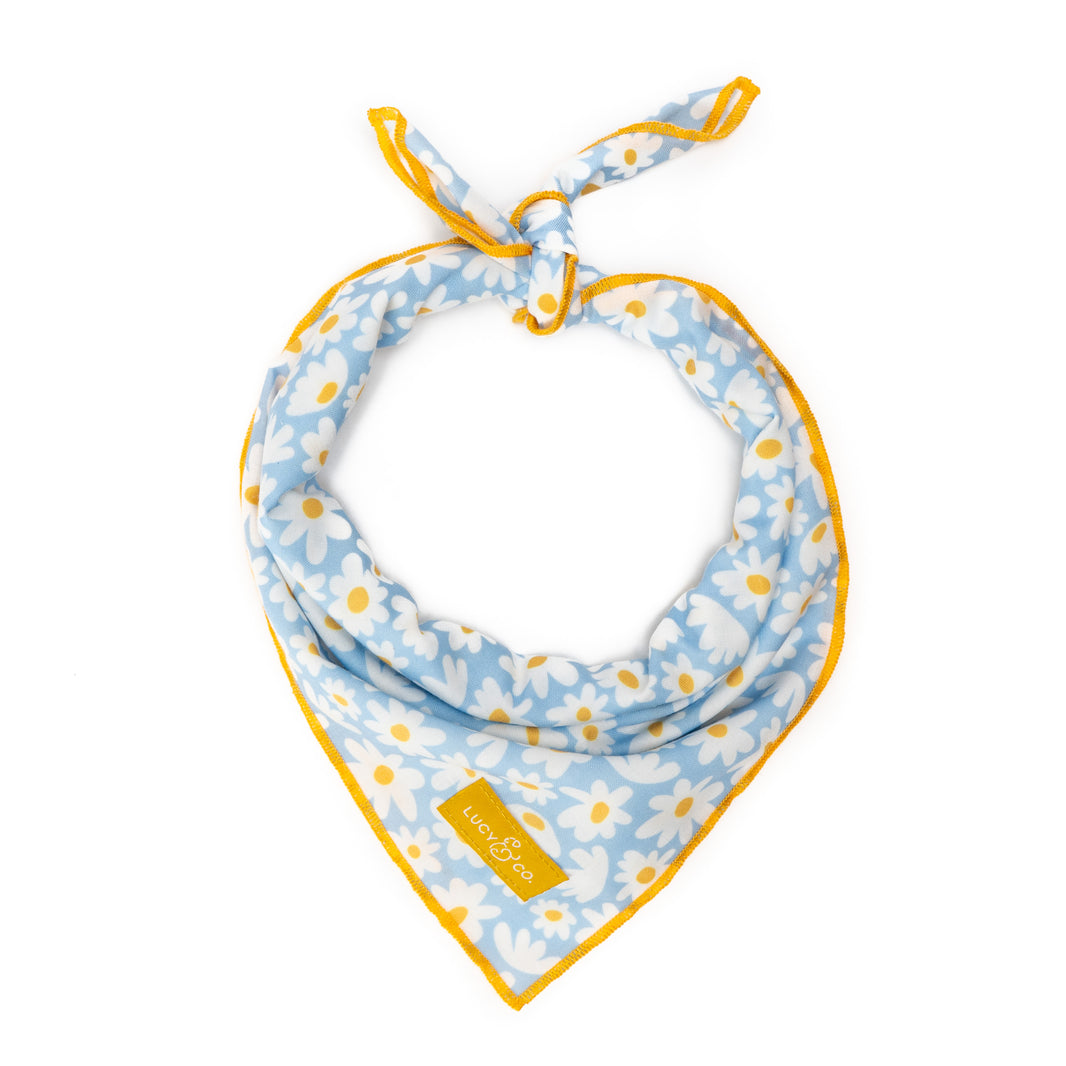 Shop Cute Dog Bandanas | Lucy &amp; Co.