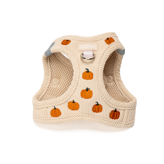 Oh My Gourd Corduroy Step-in Cat Harness