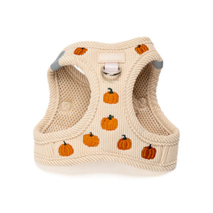 Oh My Gourd Corduroy Step-in Cat Harness