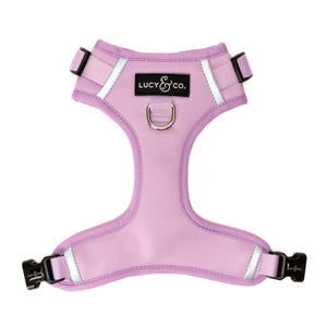 Bouquet No-Pull Harness