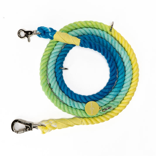 The Bolt of Energy Hands-Free Rope Leash