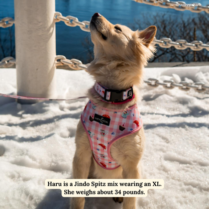 Sipping Slowly Reversible Harness