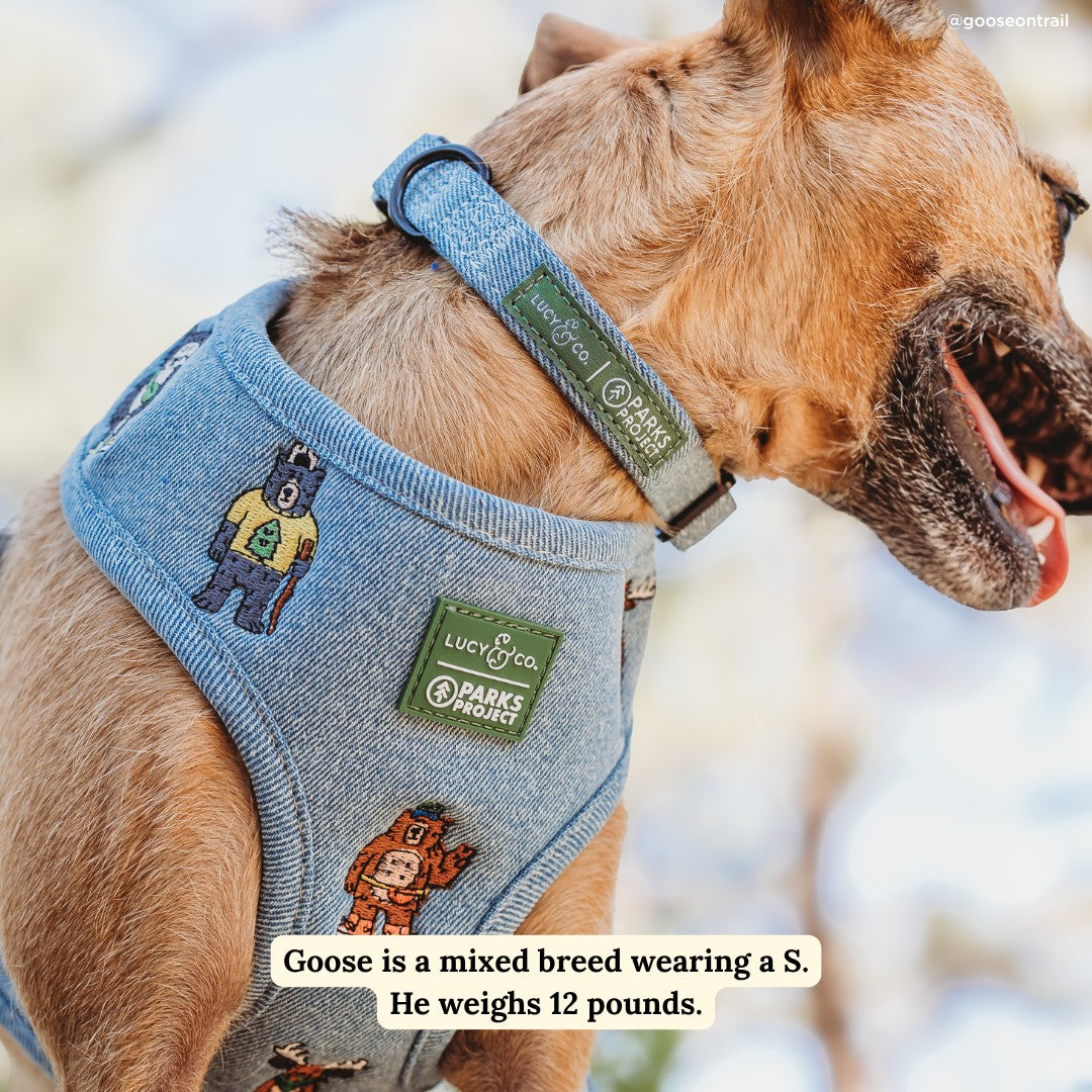 Lucy & Co. x Parks Project Adventures with Friends Collar