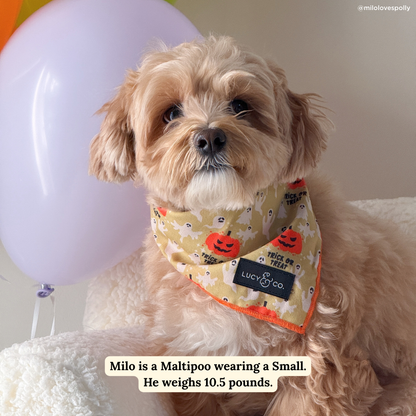 Trick or Treat Bandana