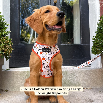 Howloween Leash