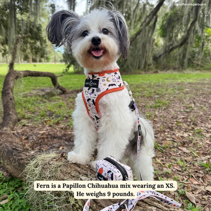 Howloween Reversible Harness