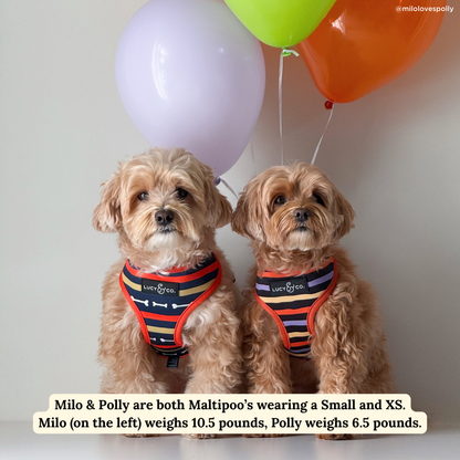 Howloween Reversible Harness