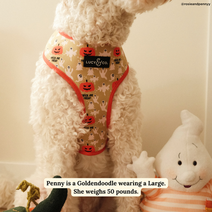 Trick or Treat Reversible Harness