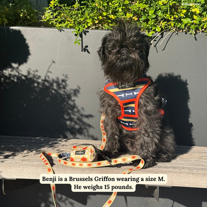 Trick or Treat Leash