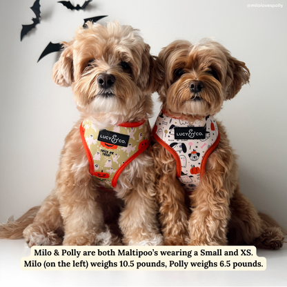 Trick or Treat Reversible Harness