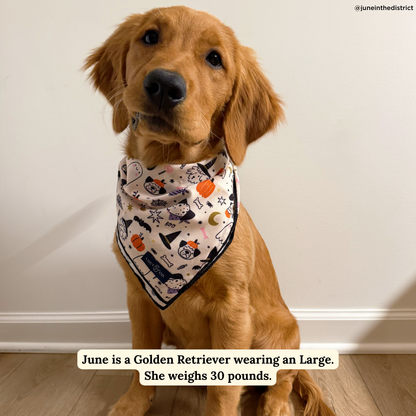 Howloween Bandana