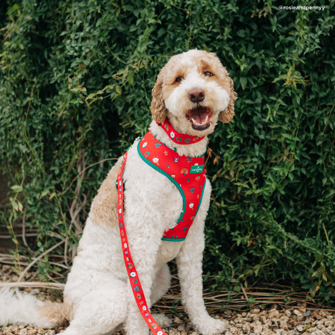Happy Howlidays Leash