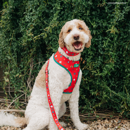 Happy Howlidays Leash
