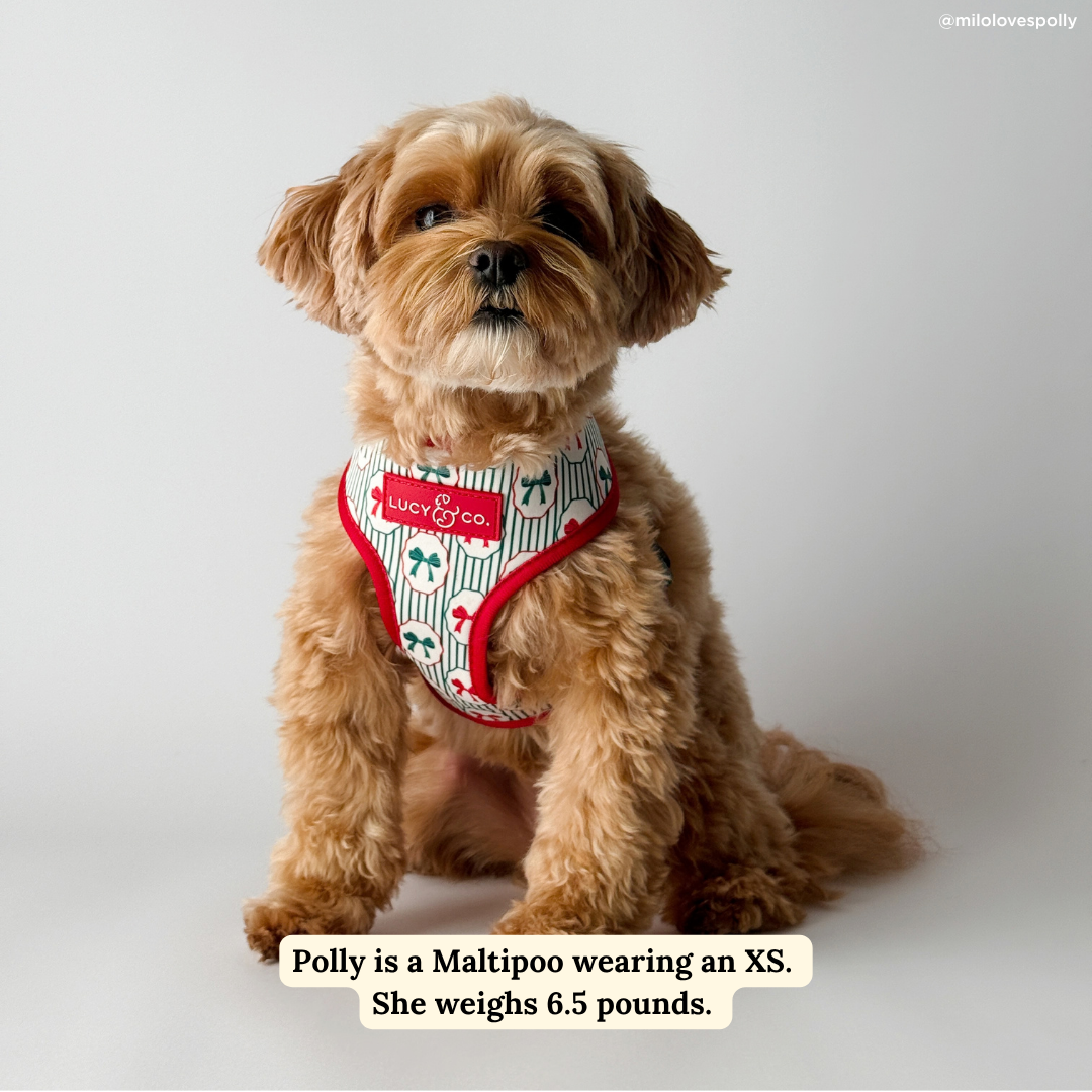 Wrap it Up Reversible Harness