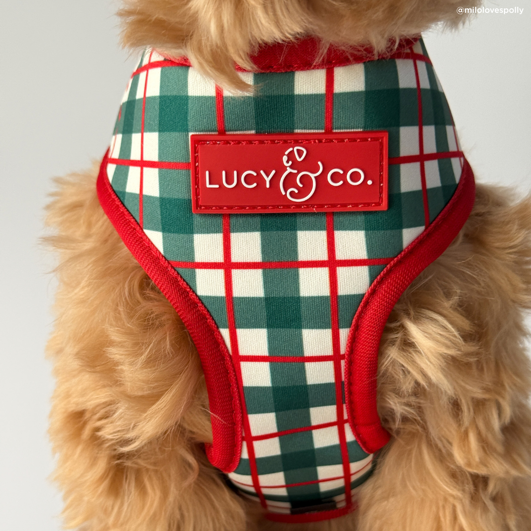 Wrap it Up Reversible Harness