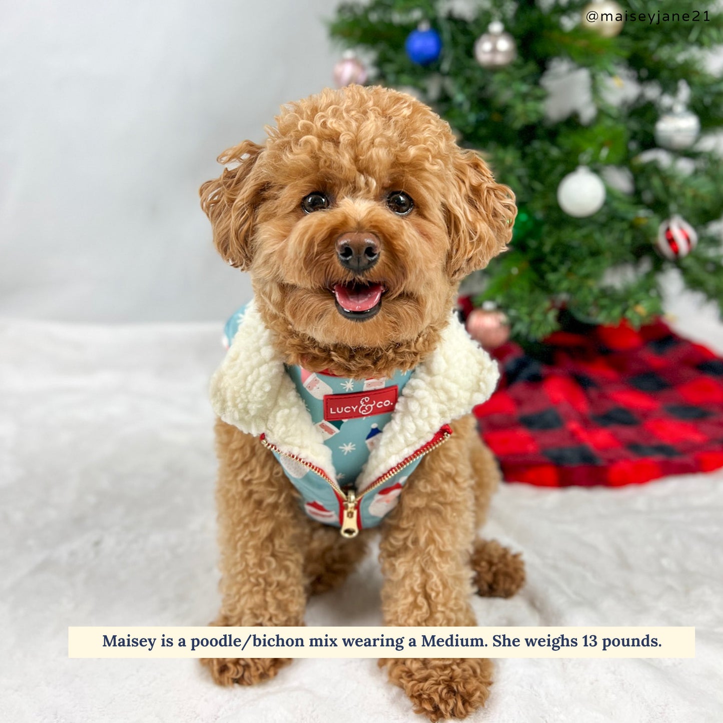 Limited Edition! The Merry & Bright Reversible Teddy Vest