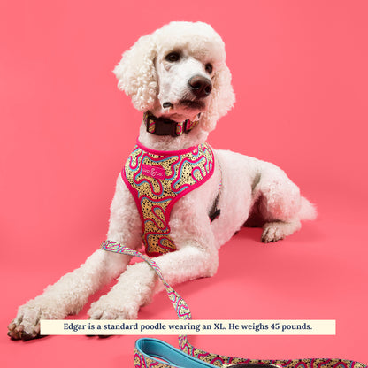 Rolling Around Malibu Reversible Harness