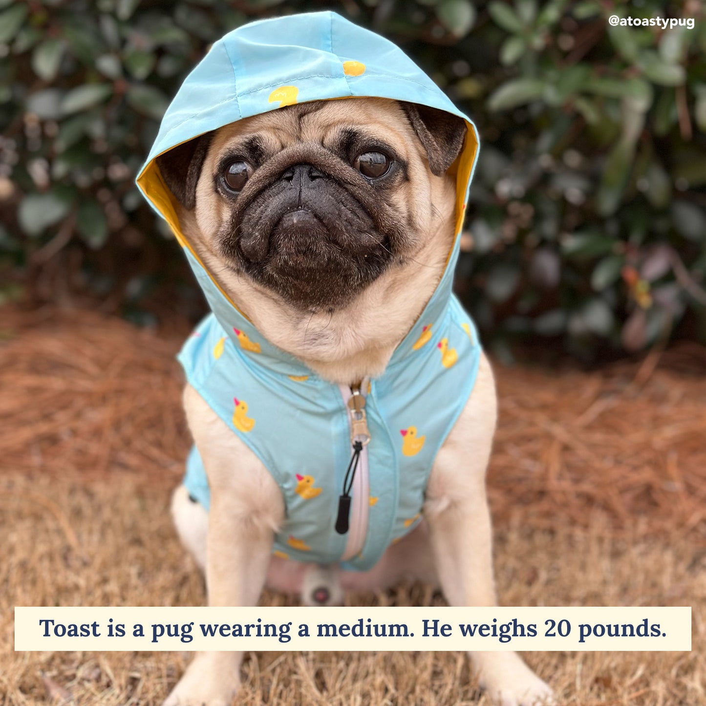 Lucky Ducky Reversible Raincoat